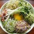 새싹, 화합 이미지