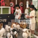 약지애견카페 이미지