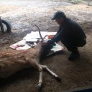 이상만농장 이미지