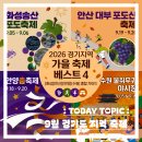 안산시시민시장 | [지역 축제 소식] 9월 경기도 축제 소개(안양, 화성, 안산, 수원)