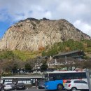 산방산 용머리해안 여행 후 제주도 선물 제주소나이 제주 기념품 짜장바당 딱새우맛 이용후기