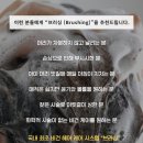 [용산 미용실] 토니앤가이 용산점 ㅣ극손상모 클리닉 후기 브러싱 후기