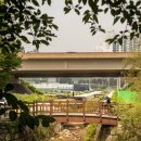 오룡골천 이미지