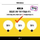 여기,잇다