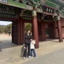 충무공이순신 기념관 | 버찌 +1928 (1) 충남 아산 현충사 충무공 이순신 기념관