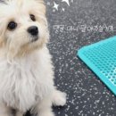 멍 핏 스튜디오 이미지
