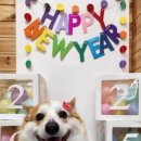 이츠펫 살롱 이미지