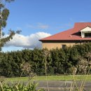 마이딩고 | 5일차 여행 | 페러데일 동물원+블루마운틴 제니 바위 투어 마이리얼트립 투어 후기 (예약 링크 포함)