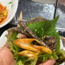 마천흑돼지 이미지