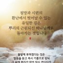 홀리씨즈교회 이미지
