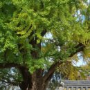 육보숯불갈비 이미지