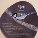 꽁이 이미지