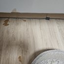 나아라 동물병원 이미지