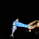 욕지도펜션블루씨 이미지