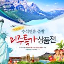 동화여행사