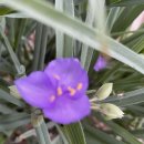 청포농장 이미지