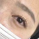 다온래쉬 | 광안리속눈썹연장 포인트연장후기 다온래쉬