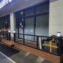 플러피독 이미지