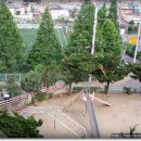 상률초등학교 이미지