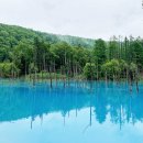 비에이(B/A) 이미지