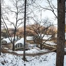 야영텐트 Daum카페