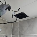 세븐일레븐창동3주공점 | 도봉구 창동 창동주공3단지 화장실 환풍기 교체 깔끔하게 해결!