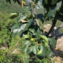 관악역 1번출구(1호선 횡단전, 서울방향) | 여름날 아침을 여는 삼성산 종주(관악역~서울대 코스)