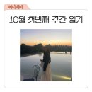 10월 첫번째 주간 일기