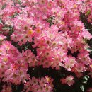 점촌중학교 이미지