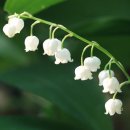 봉양농장 이미지