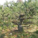 운곡 농장 이미지