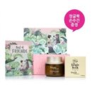 비욘드루트