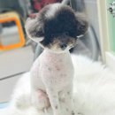 또또미용실 이미지
