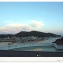 신진도pc Daum카페