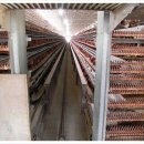 새말농장 이미지