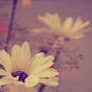 대자한의원 이미지