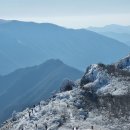 운문산 가지산 상고대 산행 이미지