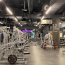 에스휘트니스 이미지