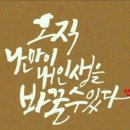 다죠아