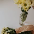 물고기자리 이미지