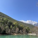 설산약국 이미지