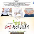 채홍일 카페-쇼핑, 지마켓-충전식 허리 찜질팩 구매 결재내역(160413) 이미지