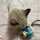 펜션&남한산성아트홀 | [9월일기] 이제 어디가서 집순이라고 하지 않을게요