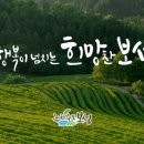 보성사랑상품권 가맹점 (회천면/웅치면)