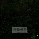 등나무 운동장 이미지