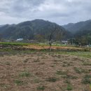 서학골 | 신흥동/동해가볼만한곳/명소추천/봄꽃나들이명소] &#39;백두대간 동해 소금길&#39;의 시작점, 서학골 탐방 후기 !