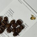 라플로레스타 이미지