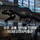 서대문자연사박물관 예약 위치 주차 할인 해설 도슨트 정보 초등학생 아기랑 가볼만한 곳