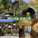 자연속의리조트휴모텔 | 제천 포레스트 리솜 S30 숙박 후기 | 숲속 힐링 리조트