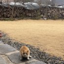 하녹달 네이버블로그